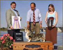 Afara Julianna