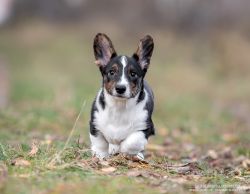 Active And Curious